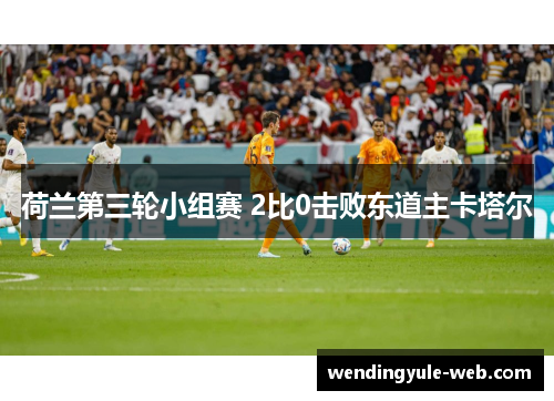 荷兰第三轮小组赛 2比0击败东道主卡塔尔